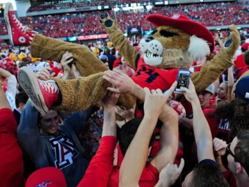 Univ of AZ, Wilbur the Wildcat mascot at Homecoming