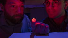 Philipp Gutruf and Jokubas Ausra examining a small red light in a laboratory. They are lit with red, blue and purple light.
