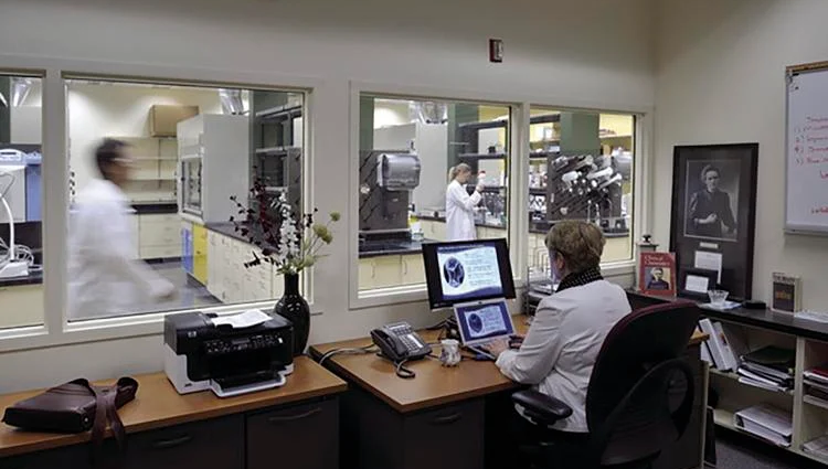 Scientists sit at computers and stand at counters while working in a laboratory 