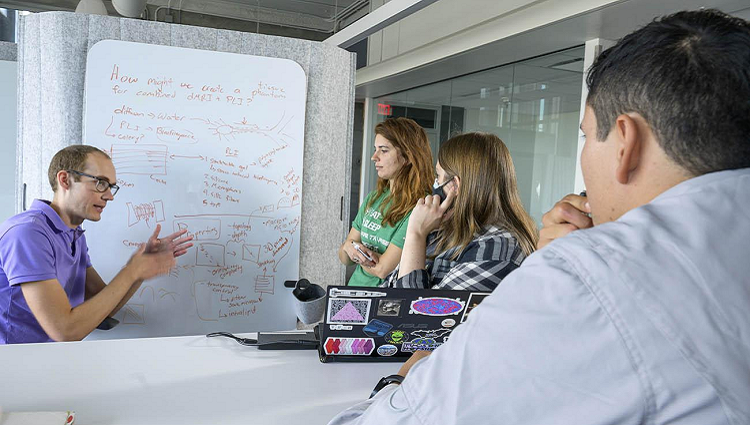 Travis Sawyer, PhD, leads a brainstorming session with doctoral students in front of a dry-erase board