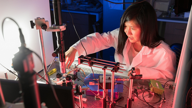Judith Su working in her lab