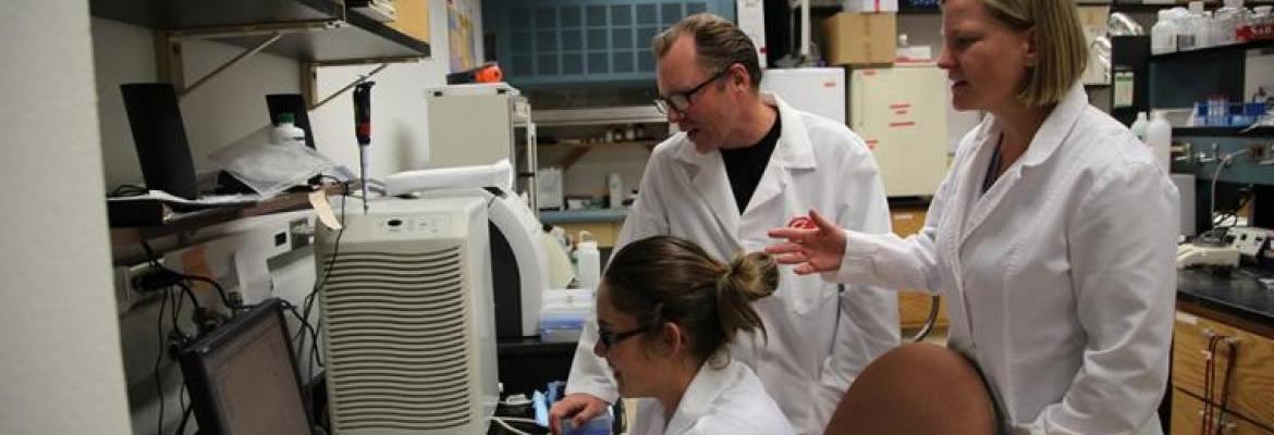 Graduate Programs | Biomedical Engineering | The University of Arizona