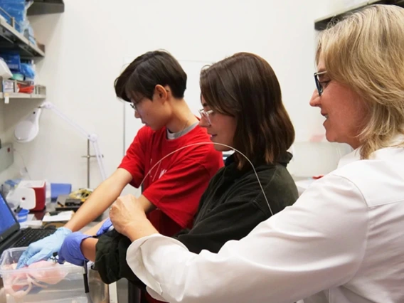 Jennifer Barton (right) works with two high school students from the BIO5 Institute's KEYS internship program.